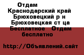 Отдам iphone 5s - Краснодарский край, Брюховецкий р-н, Брюховецкая ст-ца Бесплатное » Отдам бесплатно   